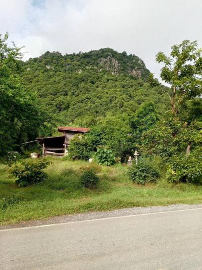 ที่ดิน 220000 นครสวรรค์ พยุหะคีรี นิคมเขาบ่อแก้ว