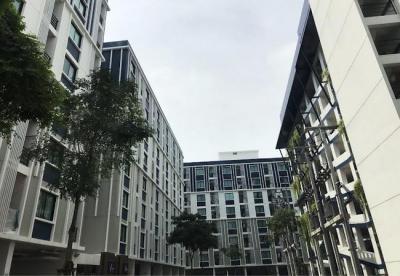 คอนโด 2240000 นครปฐม พุทธมณฑล ศาลายา