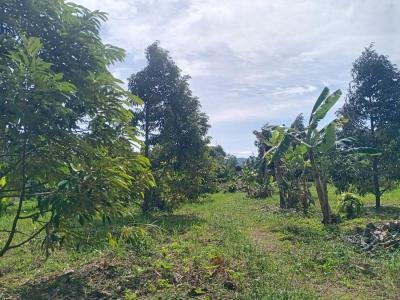 ที่ดิน 7500000 จันทบุรี เมืองจันทบุรี ท่าช้าง