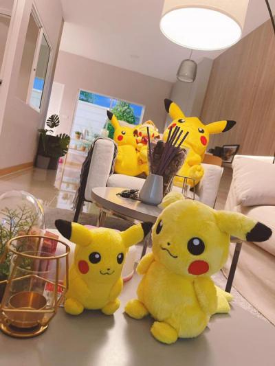 ทาวน์เฮาส์ 27000 กรุงเทพมหานคร เขตดอนเมือง สีกัน