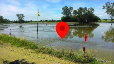 ที่ดิน 769000 นครปฐม พุทธมณฑล คลองโยง