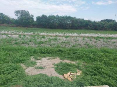 ที่ดิน 4000000 สมุทรปราการ กิ่งอำเภอบางเสาธง ศีรษะจรเข้น้อย