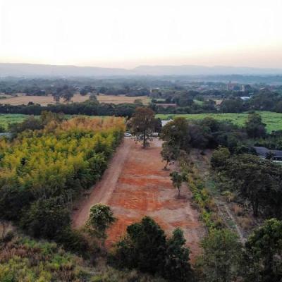 ที่ดิน 2790000 นครราชสีมา สีคิ้ว ลาดบัวขาว