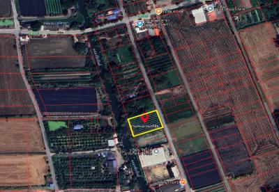 ที่ดิน 7150000 นครปฐม พุทธมณฑล คลองโยง