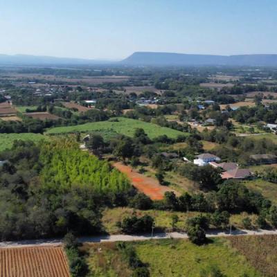 ที่ดิน 2790000 นครราชสีมา สีคิ้ว ลาดบัวขาว