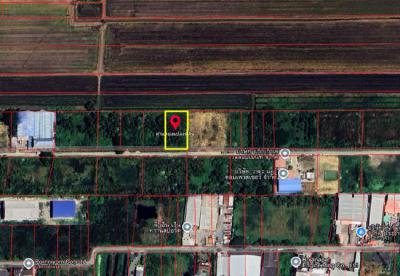 ที่ดิน 4200000 ปทุมธานี คลองหลวง คลองสี่