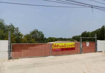 ที่ดิน 50000 ฉะเชิงเทรา บางปะกง เขาดิน