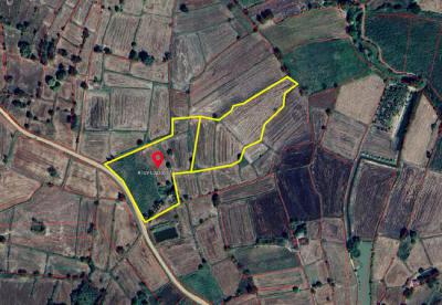 ที่ดิน 1100000 ชัยภูมิ จัตุรัส กุดน้ำใส