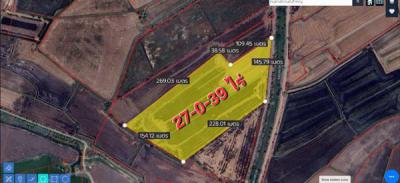 ที่ดิน 2500000 พระนครศรีอยุธยา บางปะอิน บางประแดง