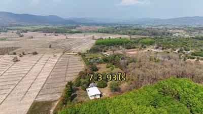 ที่ดิน 3190000 เชียงราย พาน 