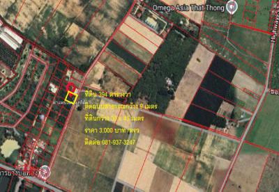 ที่ดิน 1182000 ชลบุรี บ่อทอง ธาตุทอง