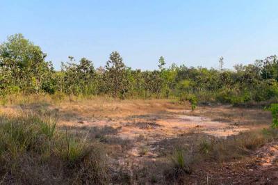 ที่ดิน 800000 อุบลราชธานี พิบูลมังสาหาร กุดชมภู