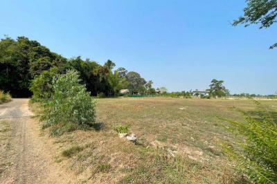 ที่ดิน 1200000 ศรีสะเกษ เมืองศรีสะเกษ หนองแก้ว