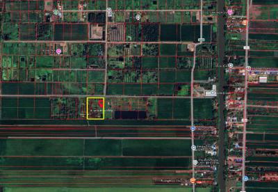 ที่ดิน 3937000 นครนายก องครักษ์ บึงศาล